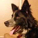 Reade was adopted in December, 2014